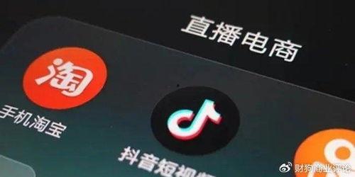 抖音平台最新爆料,揭秘网红幕后真相，揭秘网红圈层内幕！  第3张